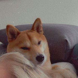 Meet your Posher, Mckenna